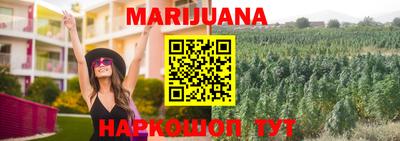 мдпв Гусь-Хрустальный