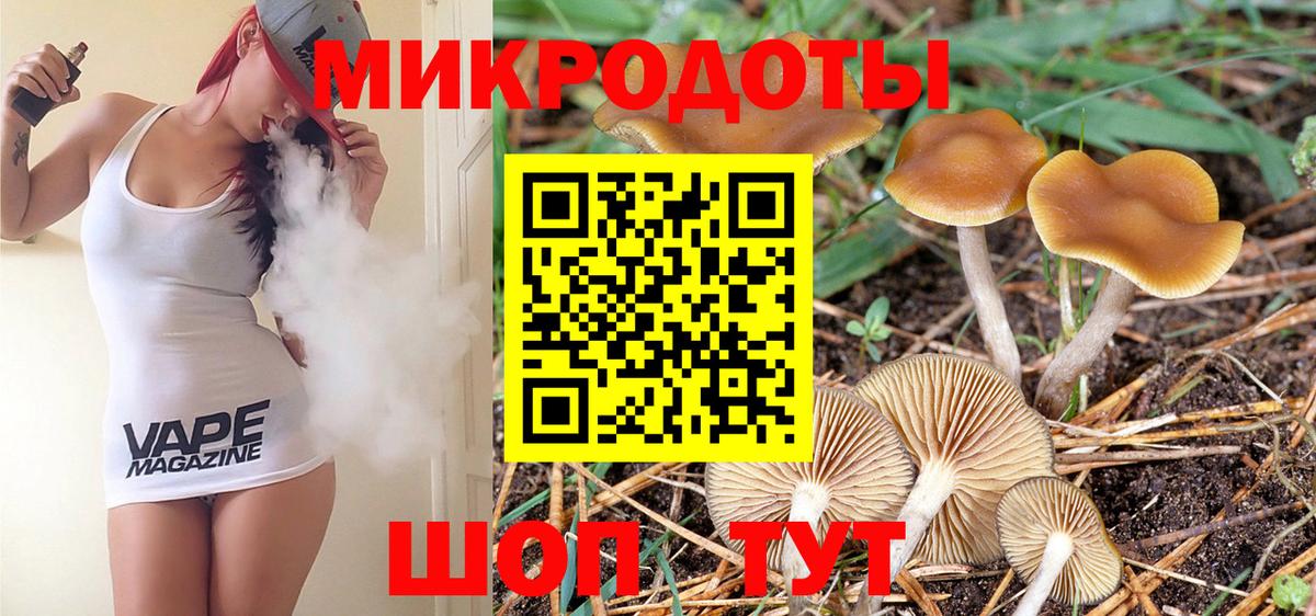 Галлюциногенные грибы Psilocybe  закладка  Вход с VPN  Кизляр  Псилоцибиновые грибы мухоморы 